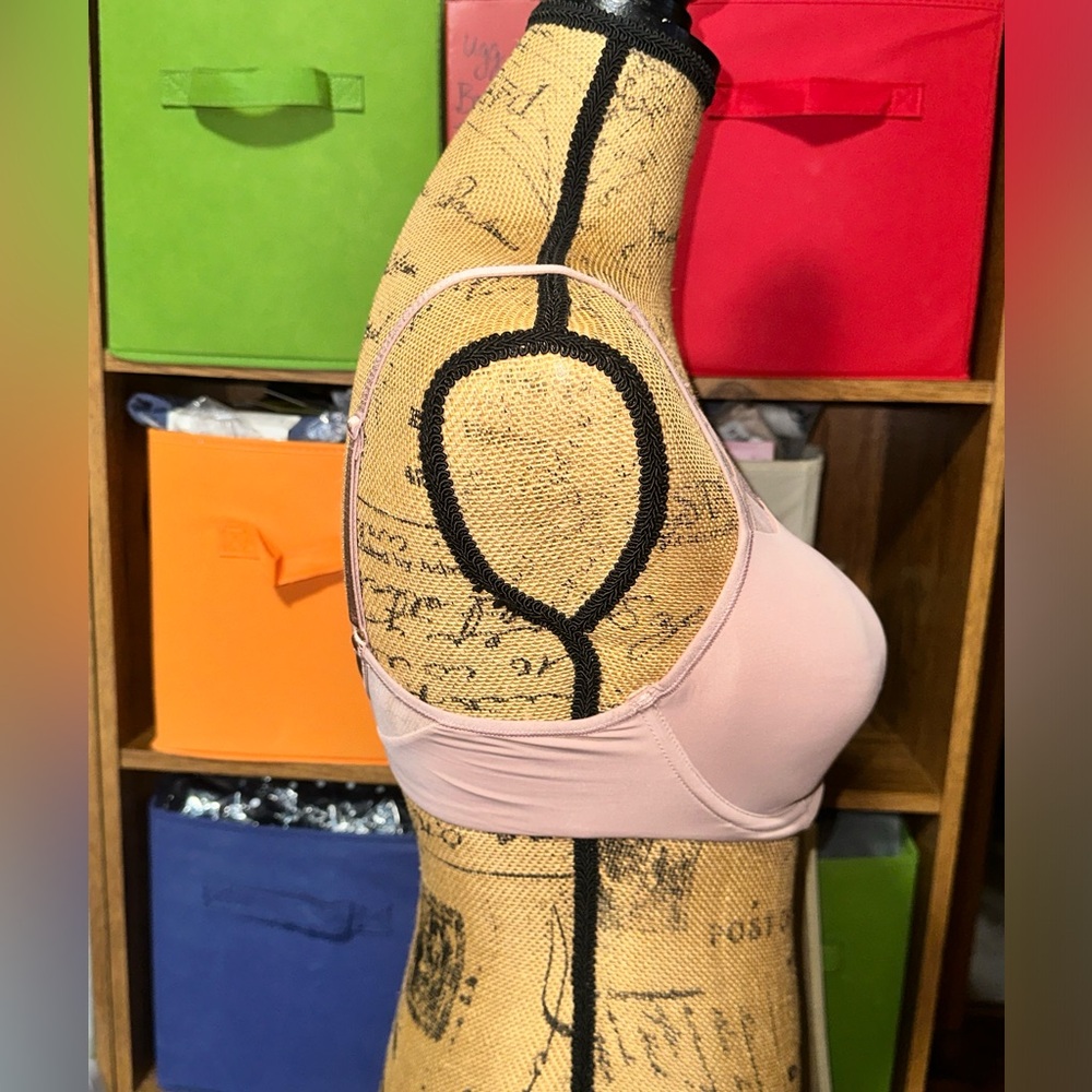 NWT Bra - Picture 4 of 9